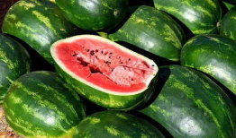 吃瓜娱乐圈菜,揭秘明星幕后故事